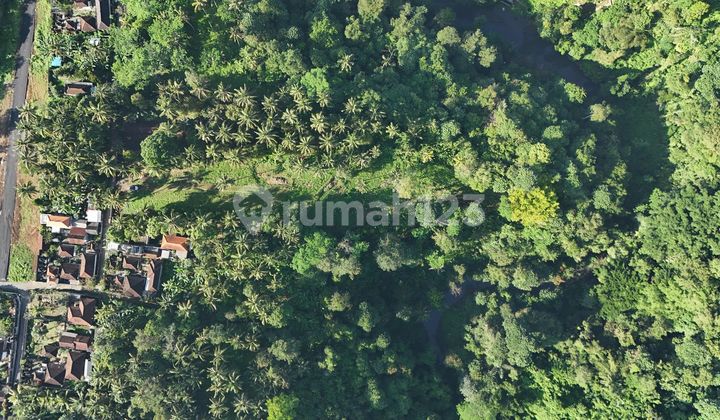 Freehold Land with Forest and River Views in Bukit Jati, Gianyar • Land Area 4960 M2 / 49.6 Are • Yellow ITR / Residential • SHM / Freehold This beautiful land is located above the Tukad Panti River in Bukit Jati, Gianyar. Only 3 km from the city center.
