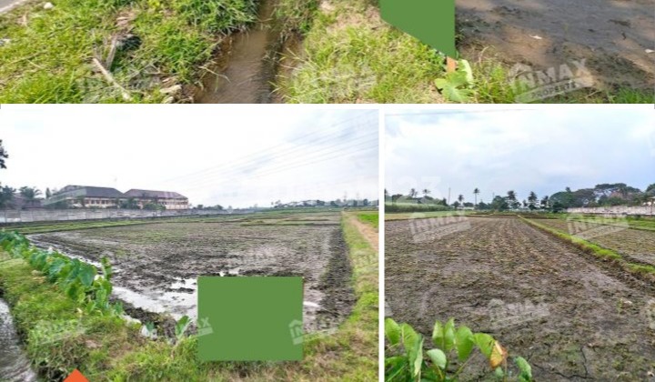 Tanah Luas Zona Orange Lokasi Strategis Di Jl. Raya Tlogowaru - Kedungkandang, Malangspesifikasi : Luas Tanah : 5773m²dimensi : 40 X 144hadap : Utarashm Zona Orange( Industri, Perdagangan, Jasa & Fasilitas Komersial) Harga 18 Milyar Nego