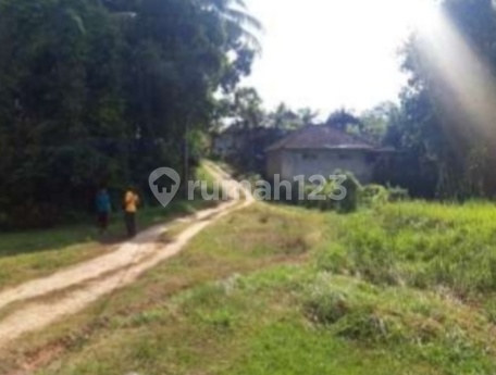 Large Land Suitable for Housing, Strategic Location on Jl. Wisnu Marga, Marga Tabanan Bali Large Land Suitable for Housing, Strategic Location on Jl. Wisnu Marga, Marga Tabanan Bali