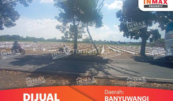 Di Jual Tanah Sawah Luas 2,4 Ha Di Jl. Raya Petung, Rogojampi Banyuwangi Spesifikasi : Luas Tanah : 24.105m²6 Shm Harga 1,5juta/m² Nego 1
