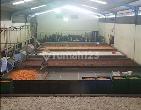 Di Jual Gudang Siap Pakai Lokasi 0 Jalan Raya Prambon Mojosari