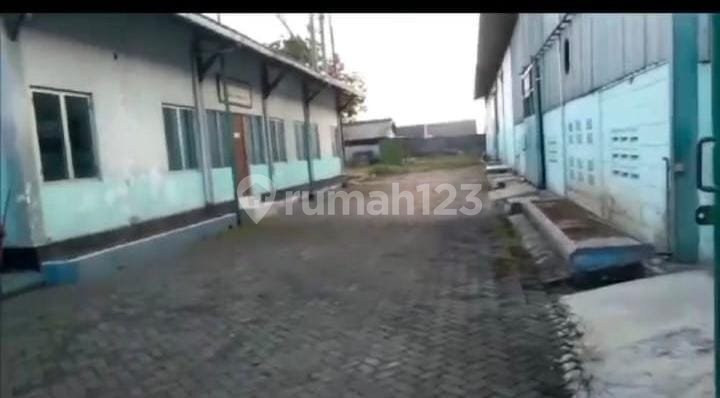 Di Jual Murah Gudang Siap Pakai Lokasi 0 Jl. Puntir - Purwosari Pasuruan(Dekat Cimory)