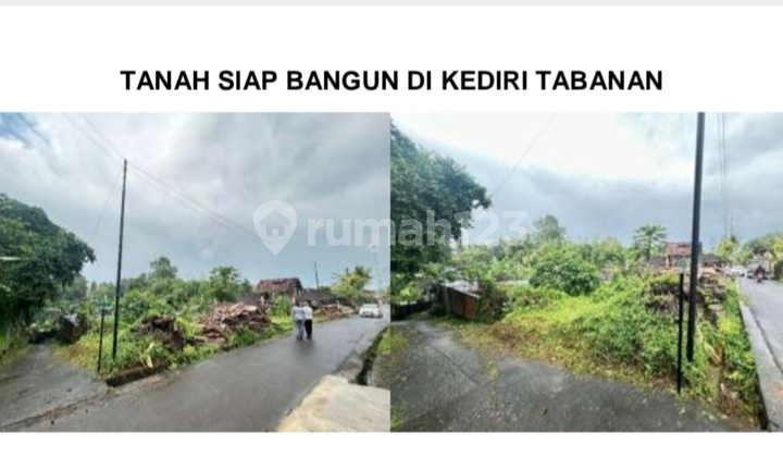 Tanah Bonus Bangunan Cocok Untuk Gudang / Pabrik Di Kediri -tabanan Tanah Bonus Bangunan Cocok Untuk Gudang / Pabrik Di Kediri -tabanan