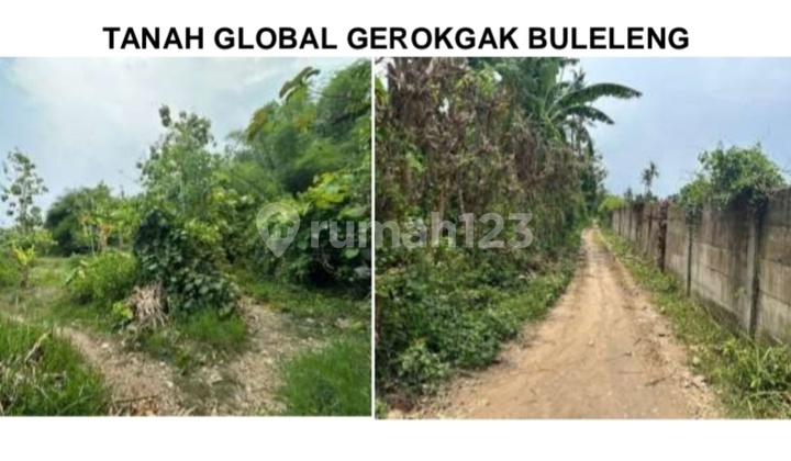 Tanah Luas Murah Cocok Untuk Perumahan Di Gerokgak Buleleng, Dekat Pasar Seririt Dan Pantai Telagalenga