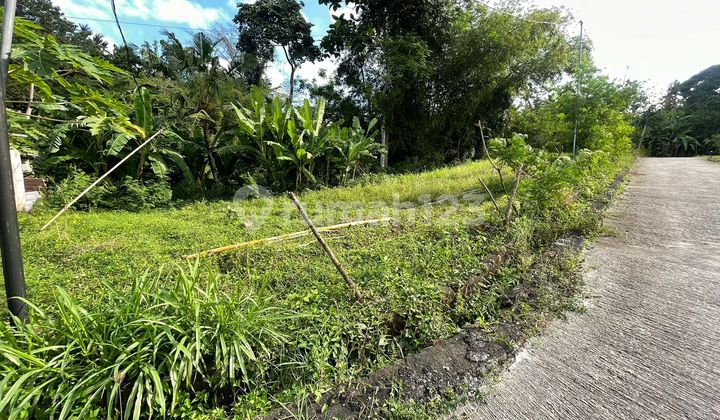 For Quick Sale: Ready-to-Build Plot of Land, located on Jl Denpasar-Gilimanuk (Sung Sang Village Villa), Sembung Village, Kerambitan, Tabanan, Bali. Specifications: For Quick Sale: Ready-to-Build Plot of Land, located on Jl Denpasar-Gilimanuk (Sung Sang Village Villa), Sembung Village, Kerambitan, Tabanan, Bali. Specifications: