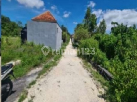 Di Jual Tanah Luas 200 Are Di Jl. Gayang Sari ,kutuh, Kuta Selatan 