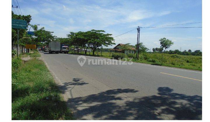 Lelang Tanah Lokasi Strategis Di 0 Jalan Raya Minoherjo Widang Tuban 2