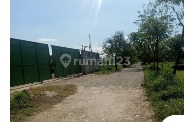 Warehouse Ready for Business in Industrial Area, Near Suramadu and Tanjung Butuh Container Terminal Bangkalan