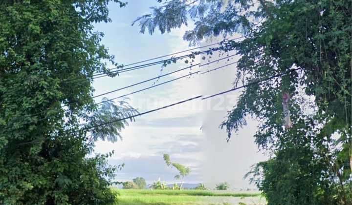 Di Jual Tanah Luas Strategis di Jl. Jendral Sudirman Jembrana - Balispesifikasi : Luas Tanah : 22,5 Aredimensi : 31X70shmharga : 600Jt/Are Nego
