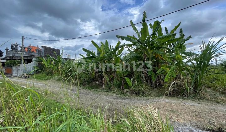 Di Jual 1 Unit Tanah Kavling Desa Singapadu, Kec. Sukawati, Kab. Gianyar, Provinsi Balispek:luas Tanah 150M2hadap Utaraakses Jalan 3 Meterlegalitasshmselling Point- Dekat dengan Fasilitas Umum- Lokasi Dekat dengan Pusat Pemerintahan - Kawasan Perumahanhar