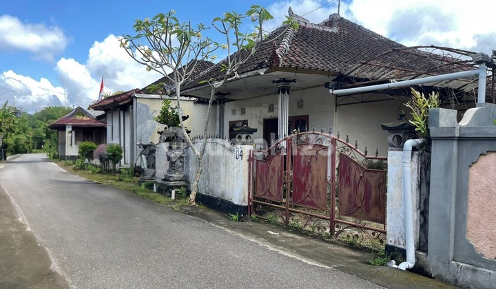 Di Jual Rumah Murah Hitung Tanah di Jln. Pulau Menjangan Gang Ii A, Kelurahan Dauhwaru, Kecamatan Jembrana, Kabupaten Jembrana, Provinsi Bali