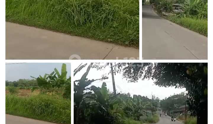Tanah 20 Ha Cocok Perumahan di Kalimaya Tenjo Bogor