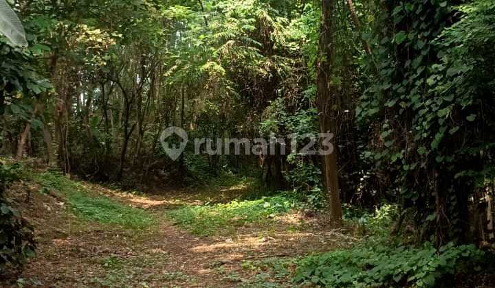 LAND 50% BELOW NJOP IN BEJI DEPOK SUITABLE FOR HOUSING LAND 50% BELOW NJOP IN BEJI DEPOK SUITABLE FOR HOUSING