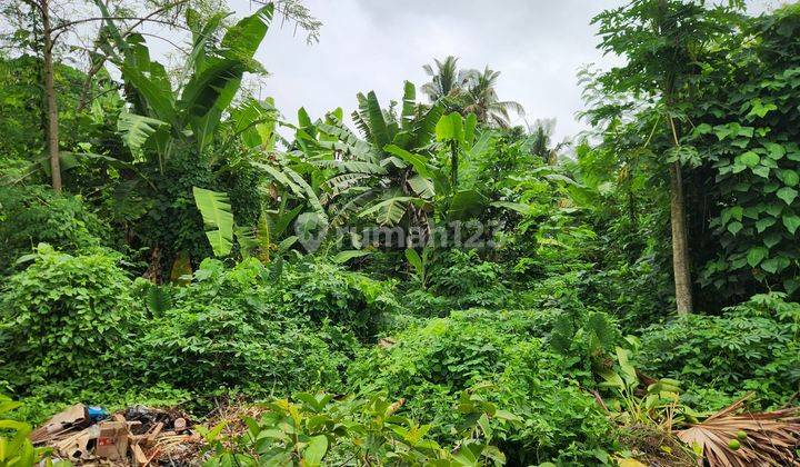 Freehold Or Leasehold Land At Greenlot Area 585 m² With Rice Field And River View And Cul de sac. 2