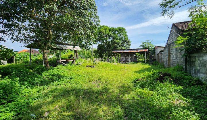 For Lease Land At Buduk 10 Ara Only 15 Minutes To Canggu 1