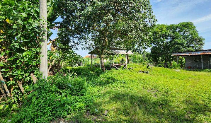 For Lease Land At Buduk 10 Ara Only 15 Minutes To Canggu 3