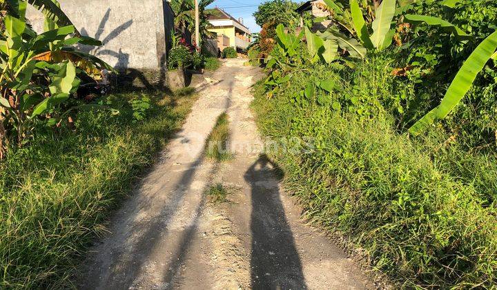 Di Jual Tanah Berlokasi Bantas Sri Munggu Deket Canggu 5