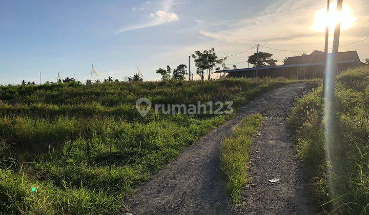 Di Jual Tanah Berlokasi Bantas Sri Munggu Deket Canggu 6