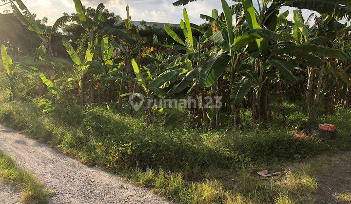 Di Jual Tanah Berlokasi Bantas Sri Munggu Deket Canggu 9