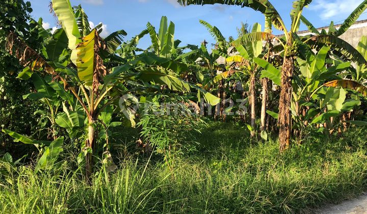 Di Jual Tanah Berlokasi Bantas Sri Munggu Deket Canggu 10