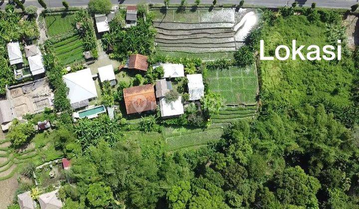 For Rent Land 22,30 Are At Padonan Lokasi Strategis 6