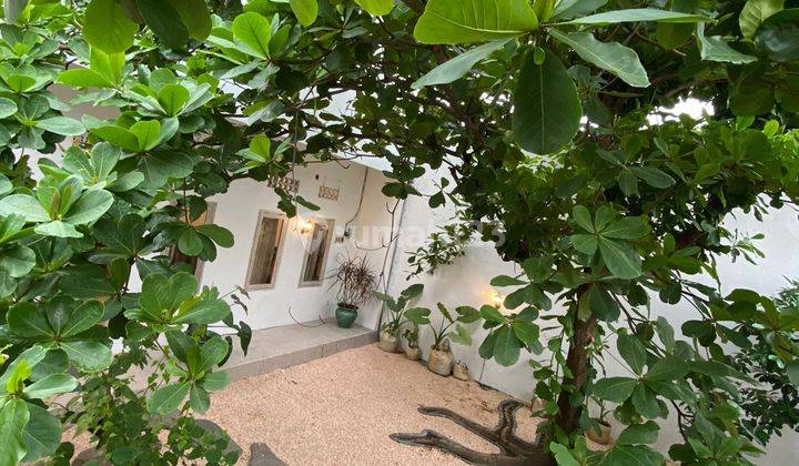 For Lease Bar Restaurant Include Nice House At Nakula 8