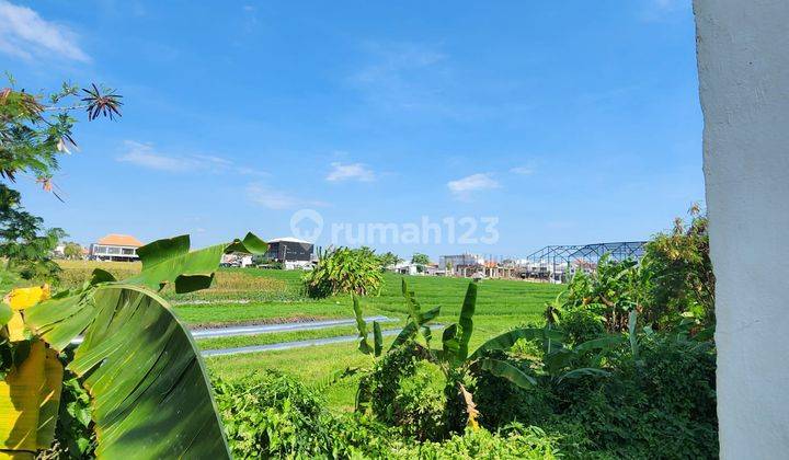 Lease Hold 45 Years Tanah Luas 1.33 Are Lokasi di Berawa 1