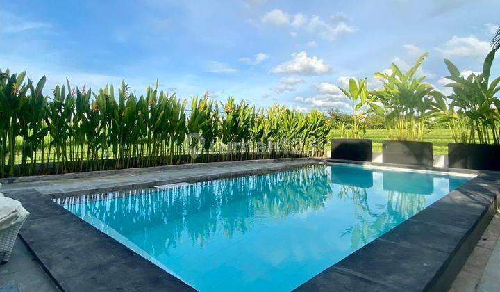 Beautiful 3 Bedrooms Villa At Canggu Area With Rice Field View 1