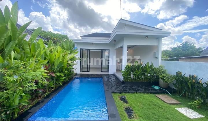 Villa Baru Gress 2 Kamar di Dekat Canggu Minimum.2 Tahun Sewa Villa Baru Gress 2 Kamar di Dekat Canggu Minimum.2 Tahun Sewa