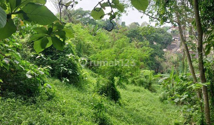 Majestic Vacant Land In Buwit Tabanan 1