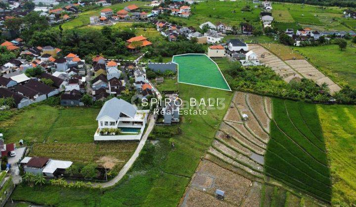 Land Leasehold 30.6 Are Includes 24 Are And 6.6 Are In Kerobokan 2