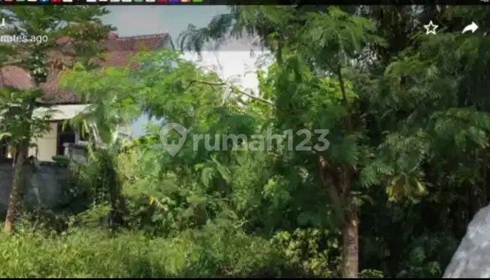 Dijual, Tanah Kosong 350 m2 di Samplangan, Gianyar, Bali