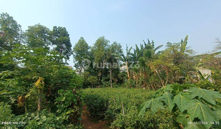 Dijual Tanah Kebon Jeruk , Jakarta Barat 1