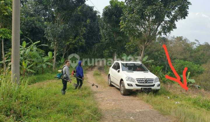 Tanah Jl. Gunung Sieum 2,5ha, Sukadamai, Bogor, Jawa Barat 5