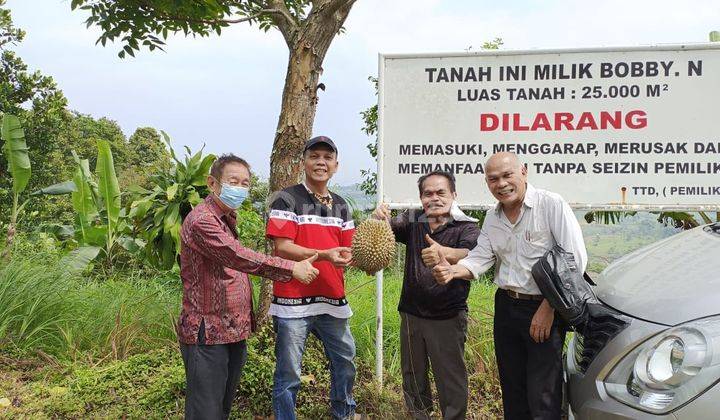 Tanah Jl. Gunung Sieum 2,5ha, Sukadamai, Bogor, Jawa Barat 8