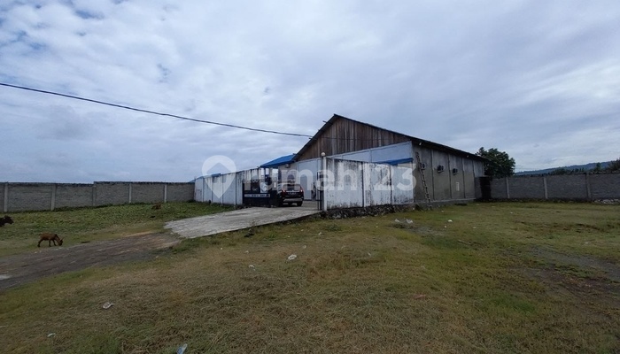 Auctioned, Fish Factory in East Sangowo, North Maluku
