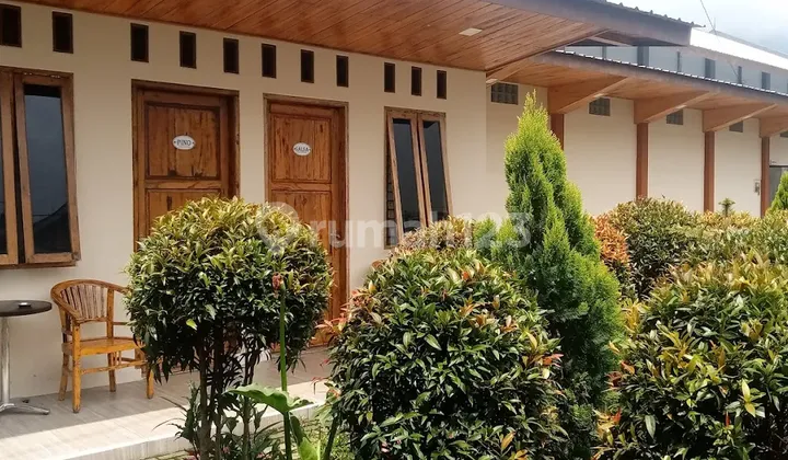 Auctioned, Guest House in Banjarnegara, Central Java. Auctioned, Guest House in Banjarnegara, Central Java.