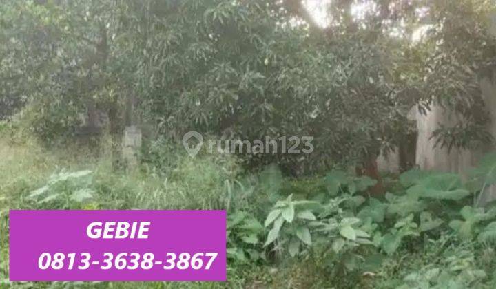 Tanah Kavling Dijual Nego di Lebak Lestari Cilandak Jaksel 14124 1