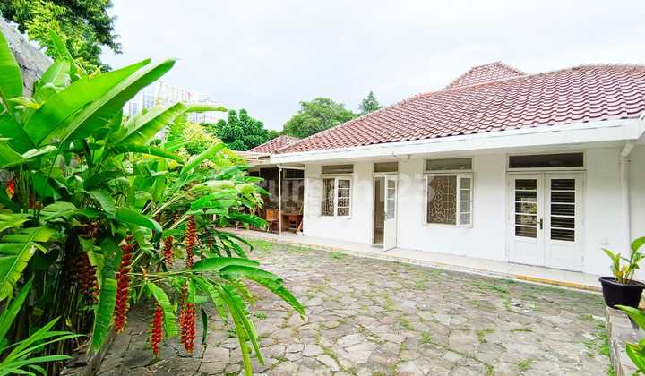 PRICE DROP 10 M!!! House in Menteng Central Jakarta LR-7406 PRICE DROP 10 M!!! House in Menteng Central Jakarta LR-7406