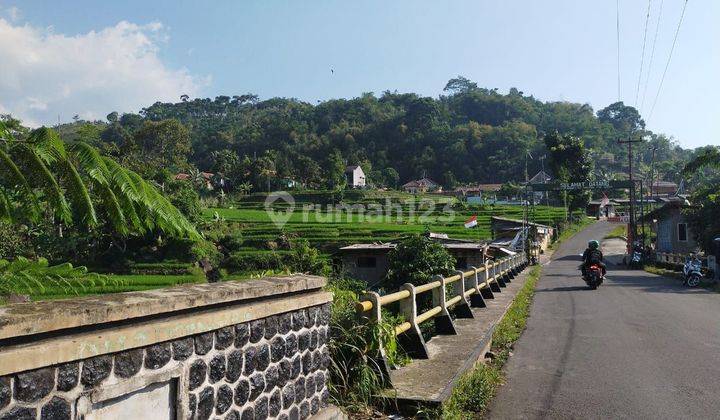 Dijual Tanah di Ciampea Bogor, Jawa Barat 1