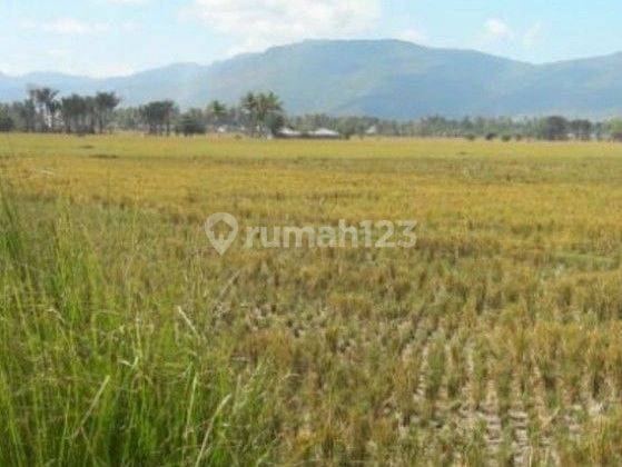 Dijual Tanah Gorontalo, Jl. Kesehatan Desa Toto Utara 2