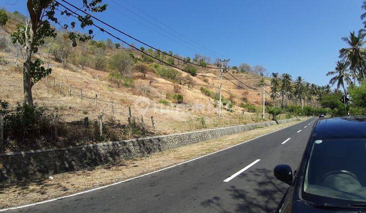 Dijual Tanah Pertanian Desa Malaka, Lombok Utara 1