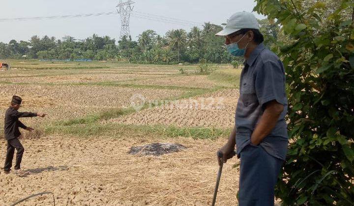 Dijual Tanah Darat Dan Sewah di Serang, Banten 1