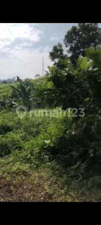 Dijual Kavling Sentul 100ha, Lokasi Bagus, Belakang Permata Sentul Golf Club Dijual Kavling Sentul 100ha, Lokasi Bagus, Belakang Permata Sentul Golf Club