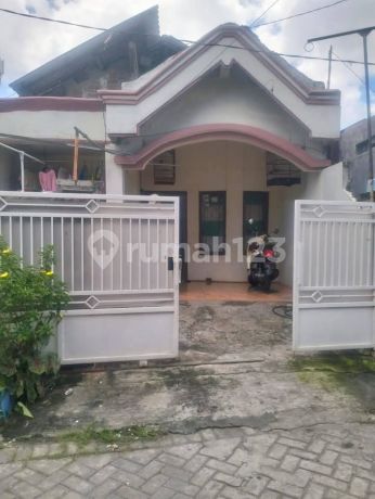 Surabaya Pakal Benowo Sumberejo Babat Jerawat | Jual Rumah Pakal Ukuran Besar Murah