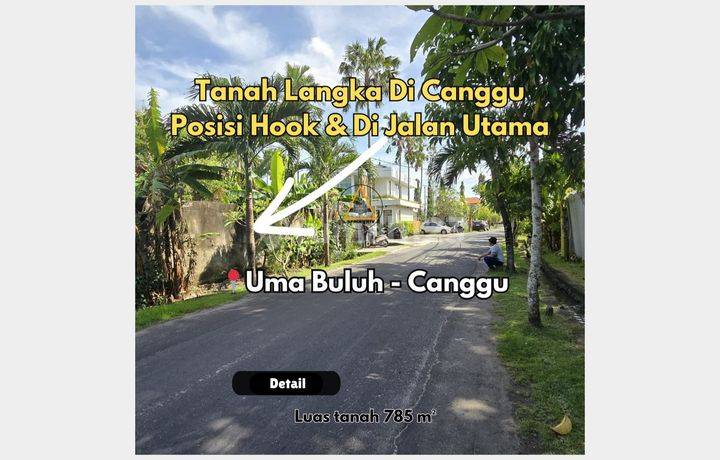 TANAH JALAN UTAMA KAYU TULANG UNTUK VILLA CANGGU