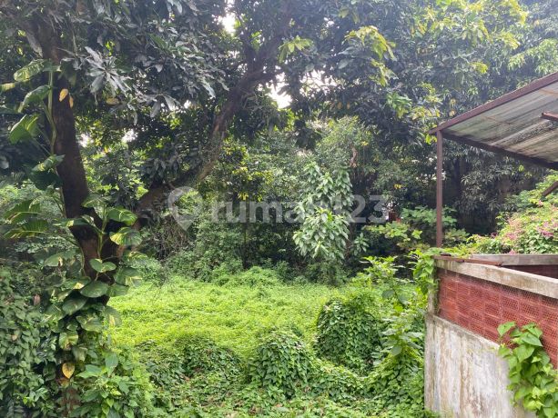 Dijual Tanah Raya Pondok Jaya Bintaro Potensi Investasi Tinggi