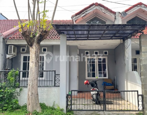 Griya Asri Pakuwon City near Sutorejo, Dharmahusada Mas, Wisma Permai, Mulyosari, Pantai Mentari, Babatan Pantai Griya Asri Pakuwon City near Sutorejo, Dharmahusada Mas, Wisma Permai, Mulyosari, Pantai Mentari, Babatan Pantai