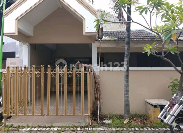 Rare House in Mulyosari 84m², Near Sutorejo, Wisma Permai, Dharmahusada Mas, Pakuwon City Rare House in Mulyosari 84m², Near Sutorejo, Wisma Permai, Dharmahusada Mas, Pakuwon City