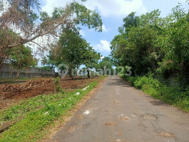 Kavling Kecil Kecil di Kawasan Strategis Dekat ke Pantainusa Dua Kavling Kecil Kecil di Kawasan Strategis Dekat ke Pantainusa Dua